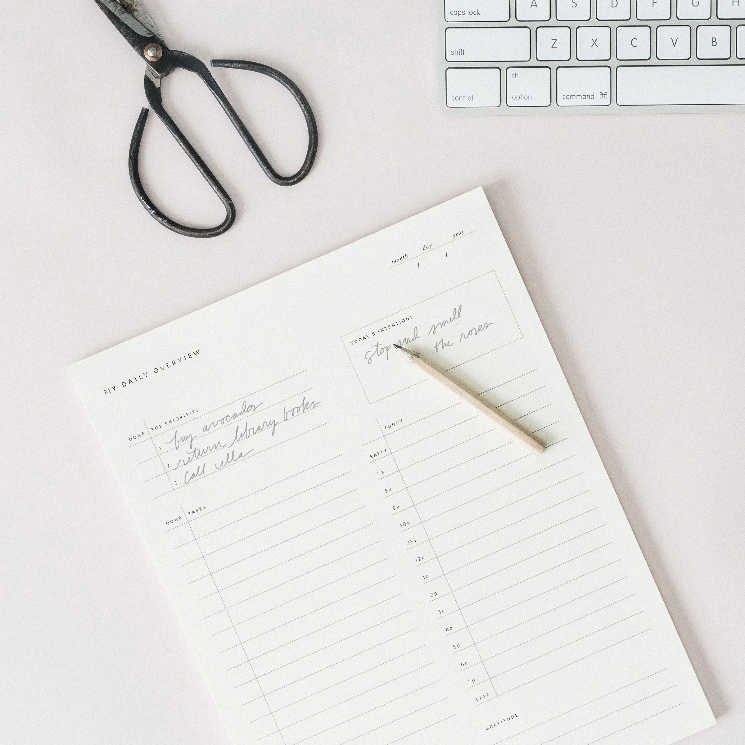 Daily Overview Notepad - Image 2