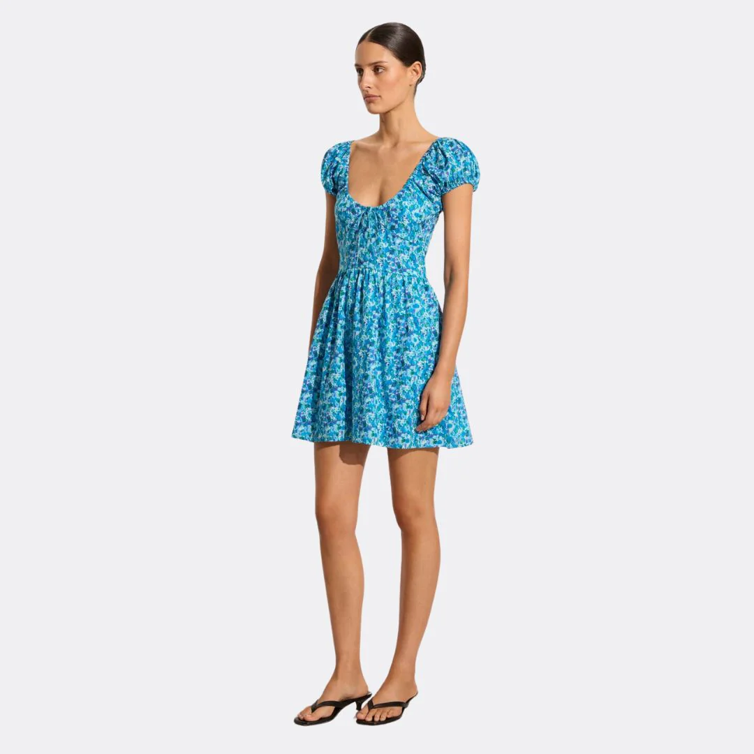 Limone Mini Dress (Stelinna Floral)